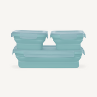 NEW Secondz® Collapsible Food Storage
