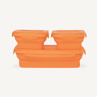 NEW Secondz® Collapsible Food Storage